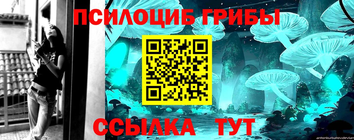 Кропоткин  Псилоцибиновые грибы Psilocybe  Вход с VPN 